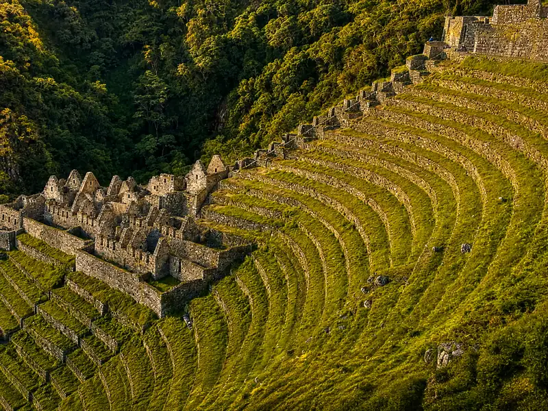 Massive tiered Inca agricultural terraces at Wiñaywayna archaeological site
