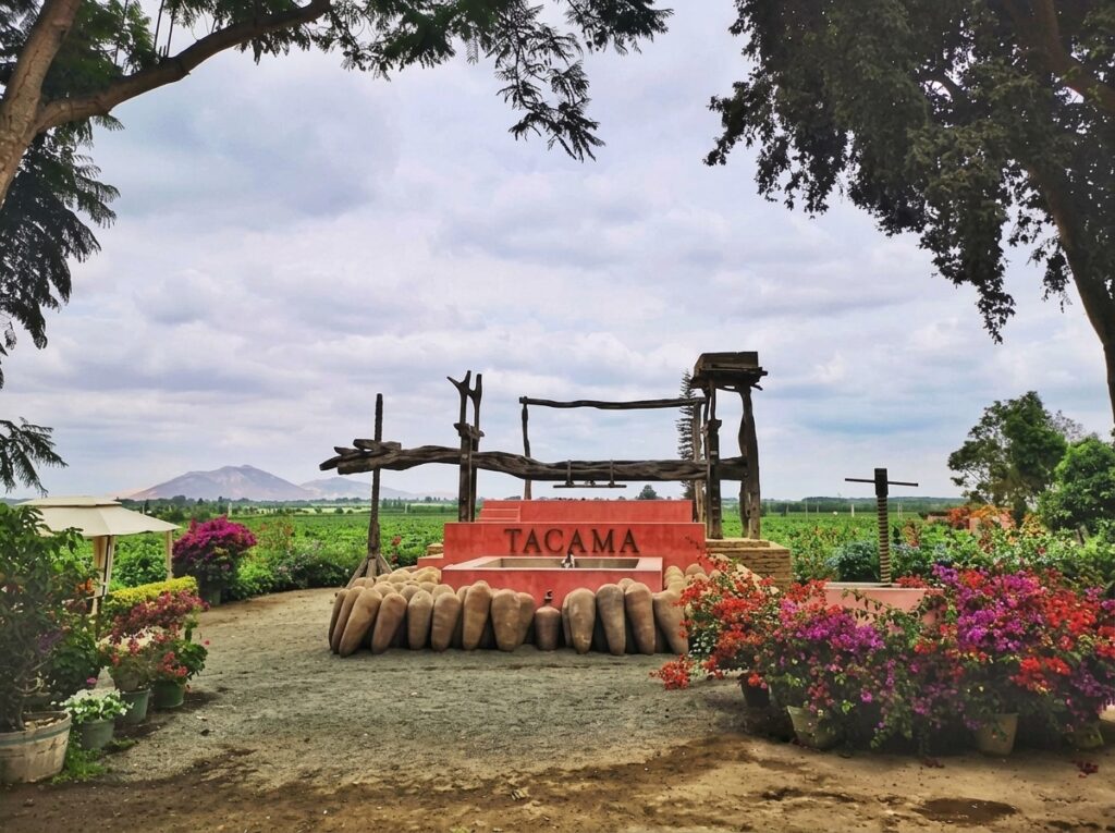Traditional treading lagar with a wooden beam press and clay pisco jars at the Tacama winery, surrounded by vineyards in the Ica valley, Peru