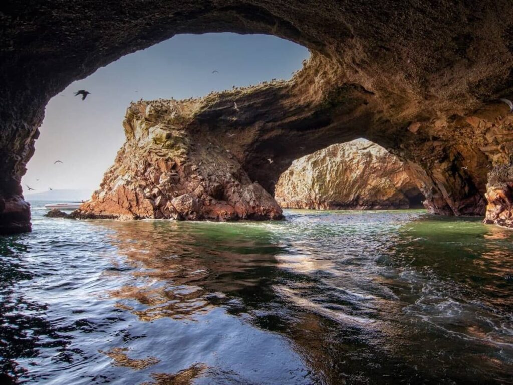 Tours Turisticos Perú Paracas