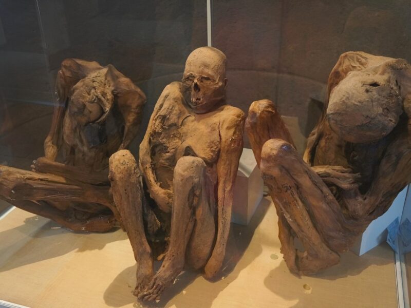 Museo Carlos Dreyer