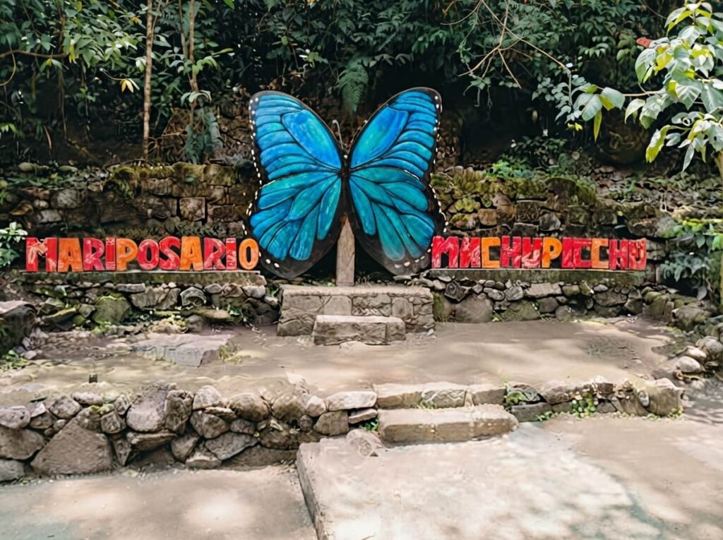 Mariposario de Machu Picchu en Aguas Calientes con mariposas nativas