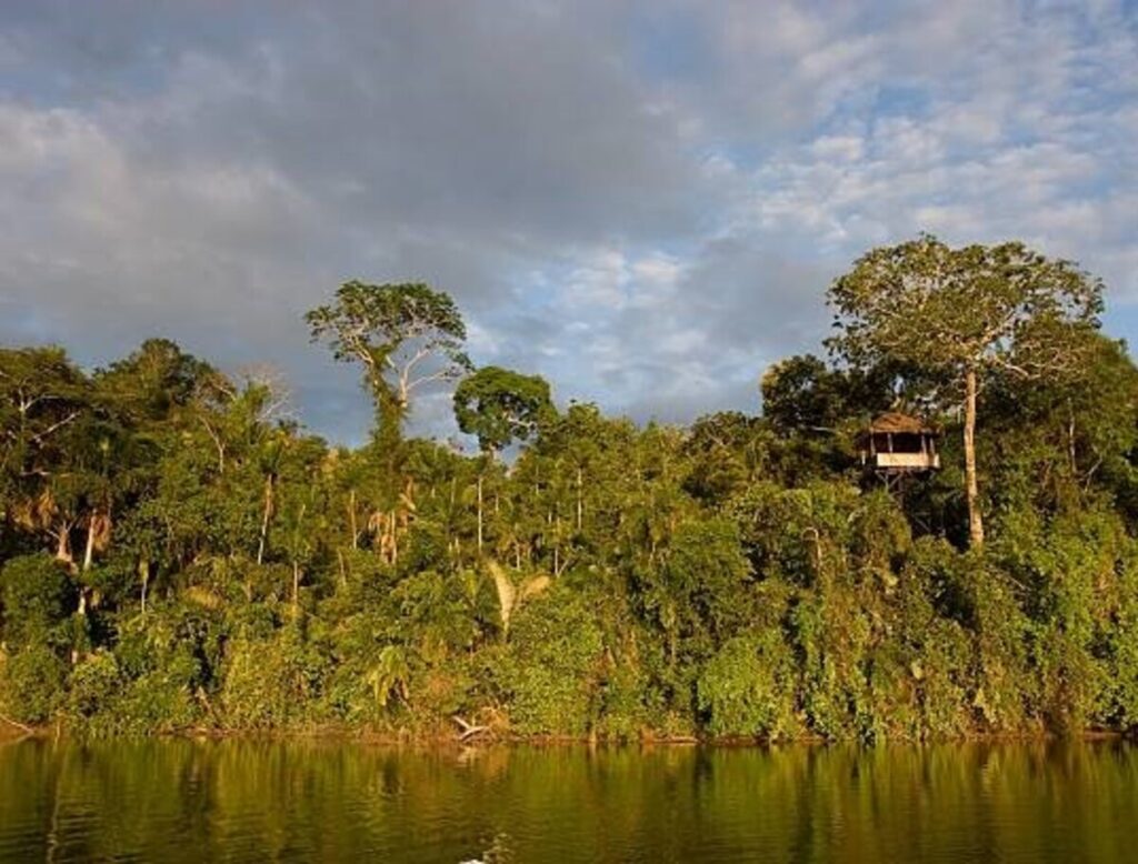 Lago Sandoval