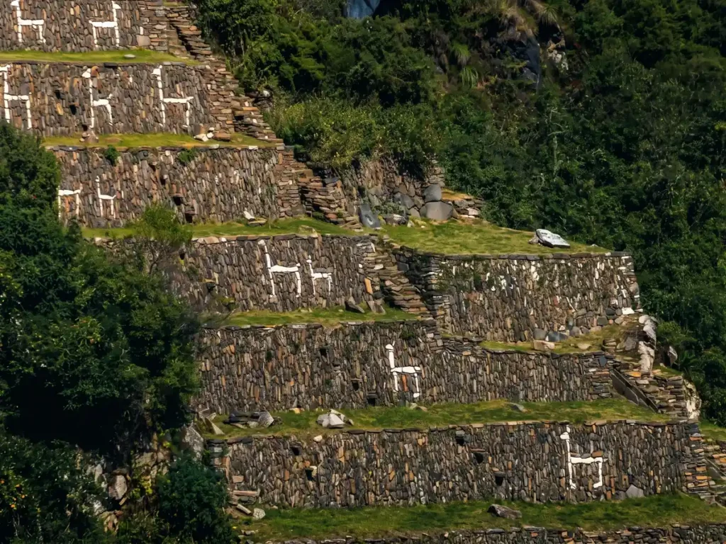 Terrazas agricolas con figuras de llamas en piedra blanca en Choquequirao