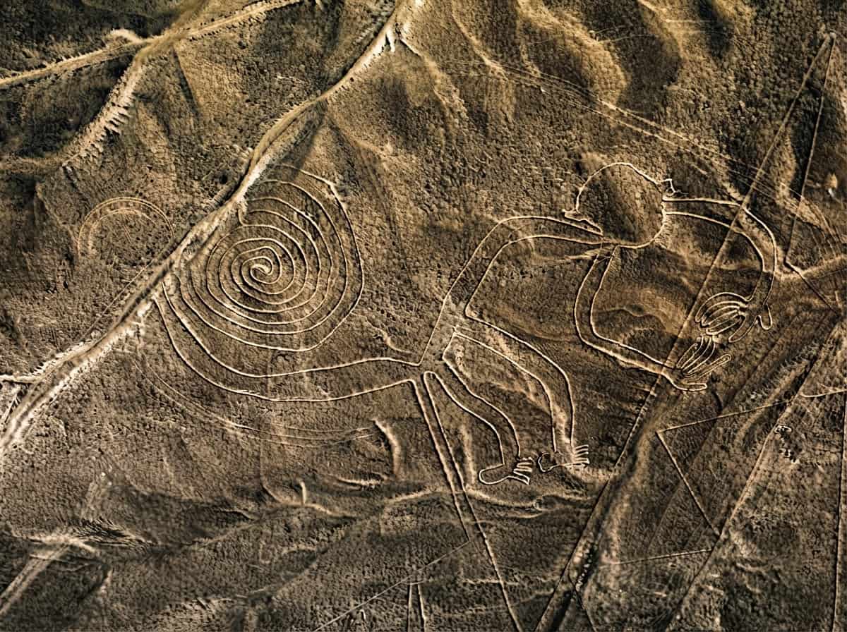 Representación del mono en las Líneas de Nazca
