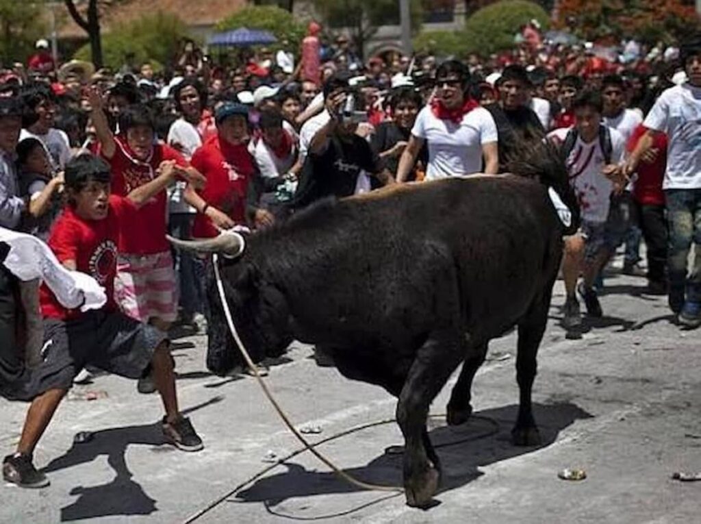 Pascua Toro en Ayacucho