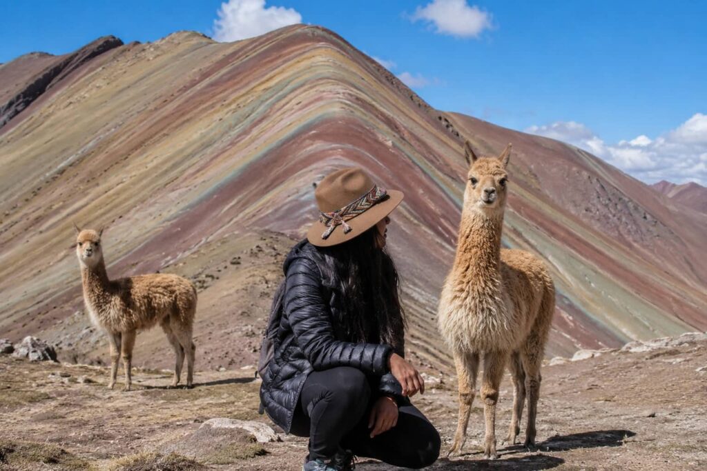 Montaña 7 colores vicuña