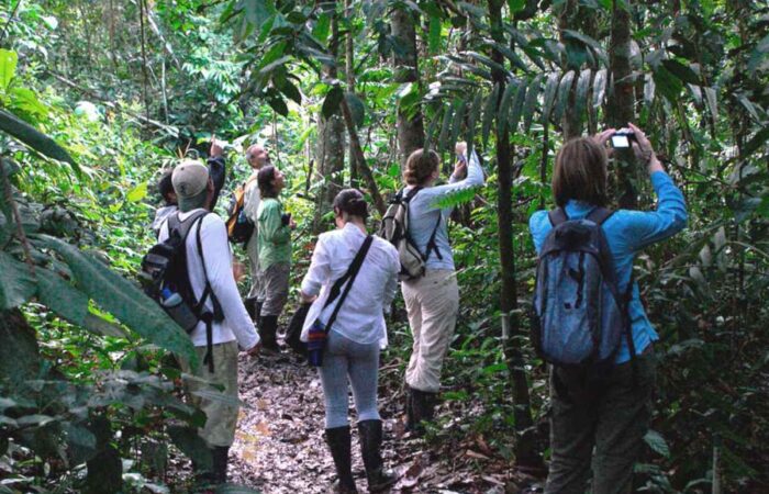 Reserva Nacional de Tambopata