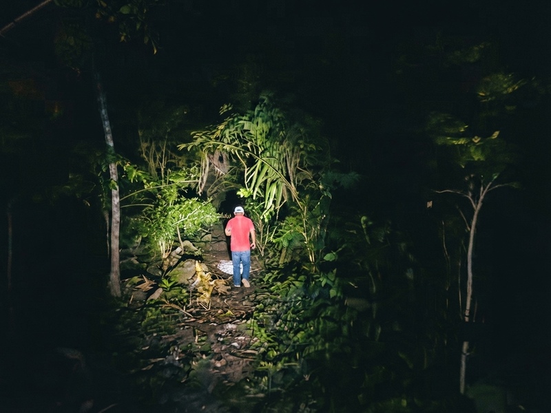 Río Tambopata y Caminata Nocturna: selva tropical y vida salvaje