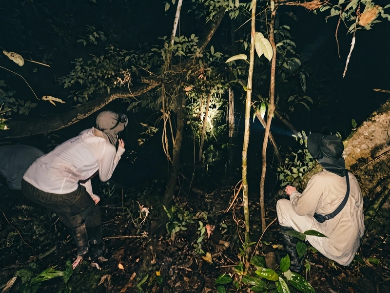 Guía con linterna mostrando la biodiversidad durante una caminata nocturna en la selva