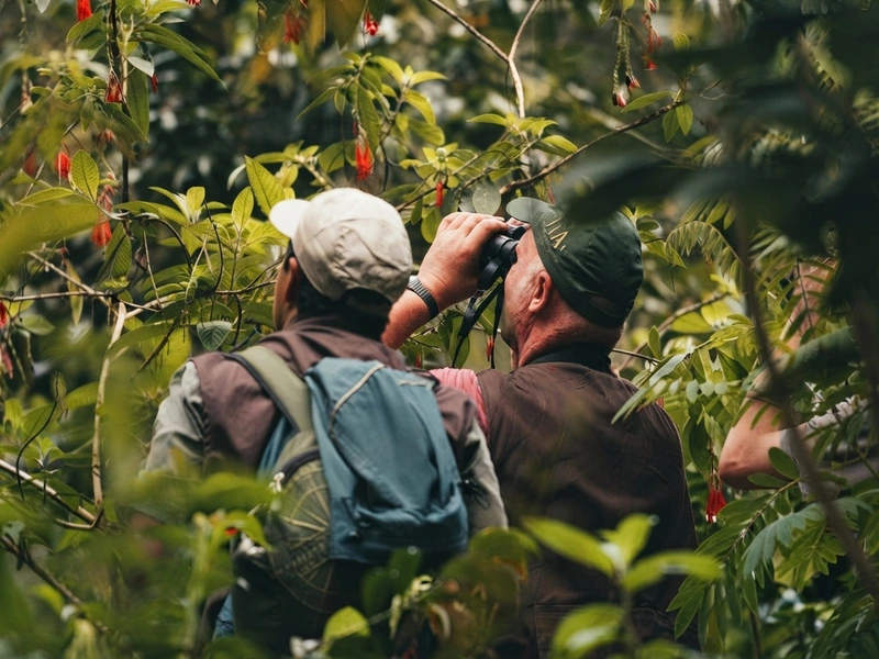 Turistas caminando por un sendero rodeado de alta vegetación tropical hacia el lago