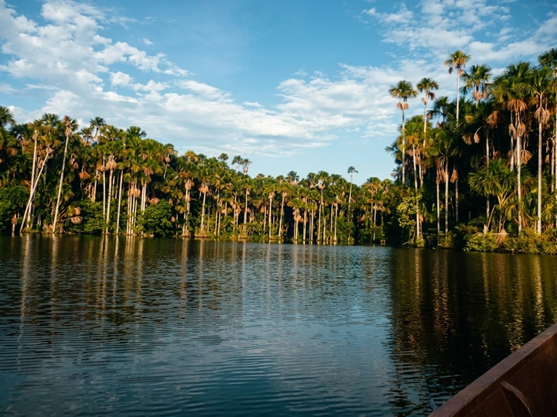 Lago sandoval