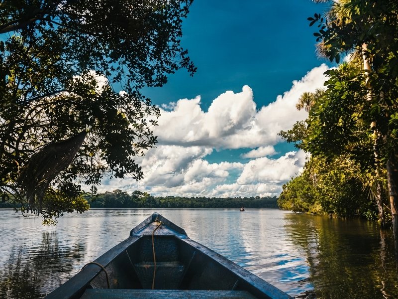 Bote deslizándose por el río Tambopata rodeado de densa vegetación amazónica.z