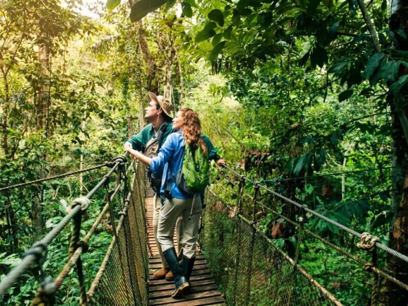 Turistas con prismaticos observando desde una plataforma elevada en la copa de los arboles