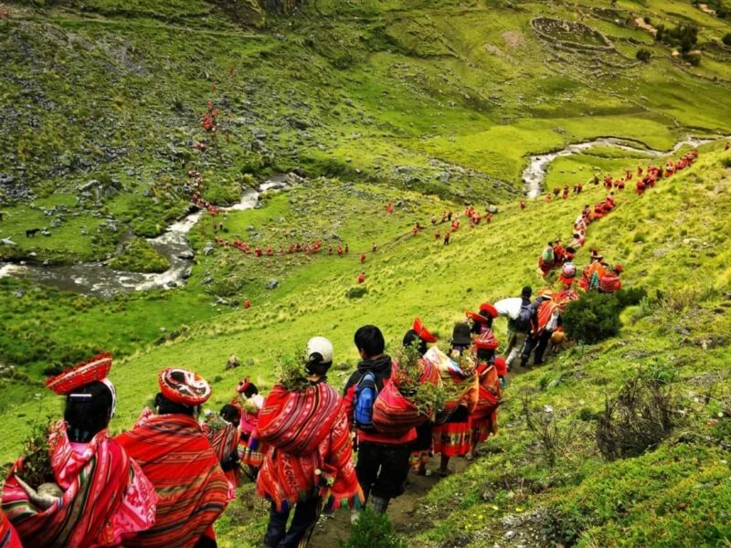 Caminata turística por un sendero sombreado por árboles de queñua en el Parque Nacional Huascarán.