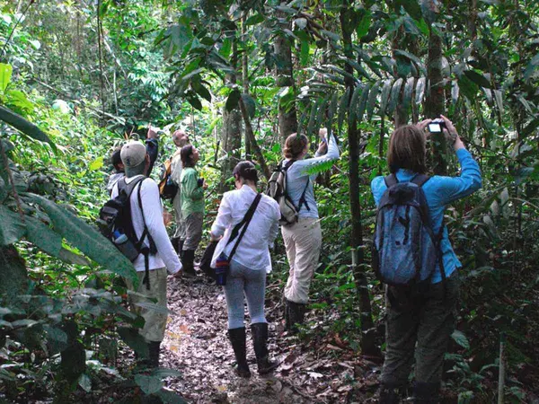Grupo de viajeros con botas de jebe y mochilas observando y fotografiando la selva en un sendero de la Reserva Nacional Tambopata