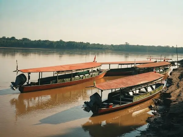 Botes de madera con techo de lona amarrados en la orilla del río Madre de Dios al atardecer