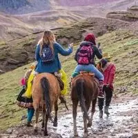Saddled horses available for the climb on an Andean trail