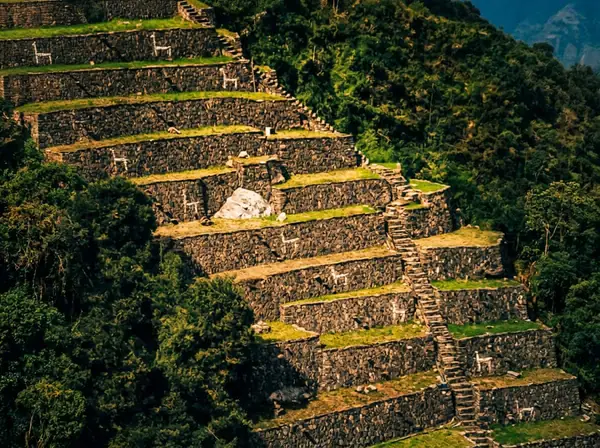 Terraces of Choquequirao decorated with llama figures in white stone