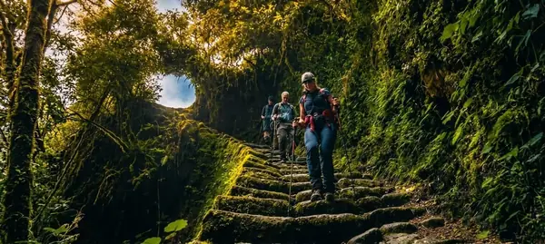 Hikers walking down the stone steps of the Inca Trail through the cloud forest