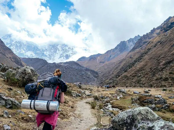 Lush cloud forest trail on the descent from the Salkantay Pass