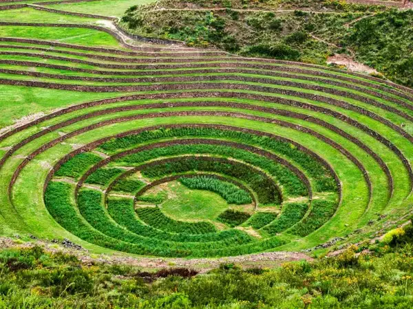 Andenes circulares concéntricos de Moray cubiertos de pasto verde en el Valle Sagrado de los Incas