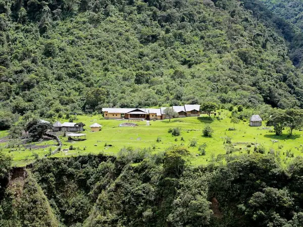 Trail through the lush vegetation of the high jungle