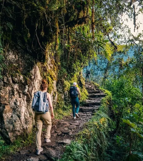 Trekkers on the stone steps of the Classic Inca Trail
