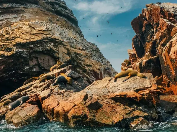 Rocky arches of the Ballestas Islands rising from the Pacific off the coast of Paracas