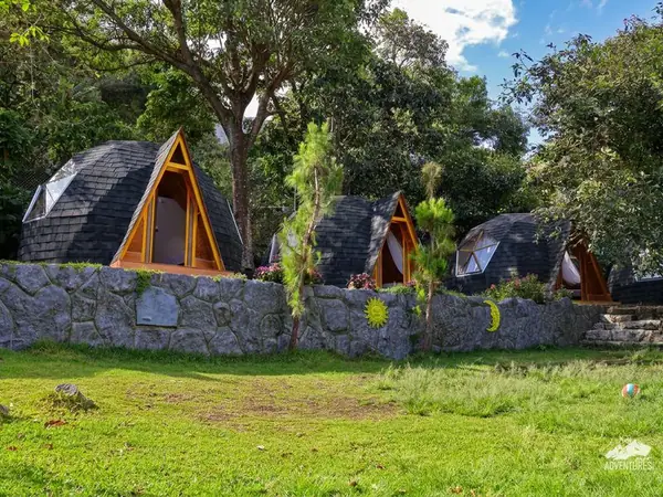 Glass dome for camping in the middle of the jungle