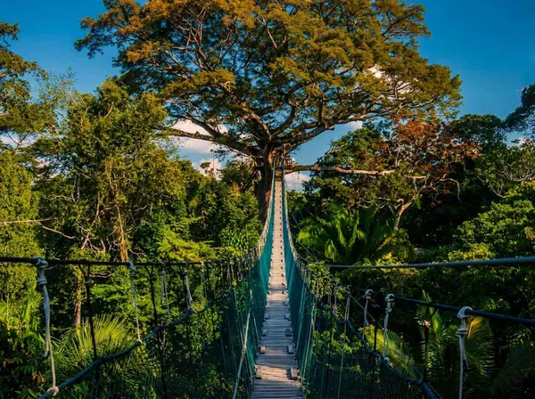 Tambopata, Peru